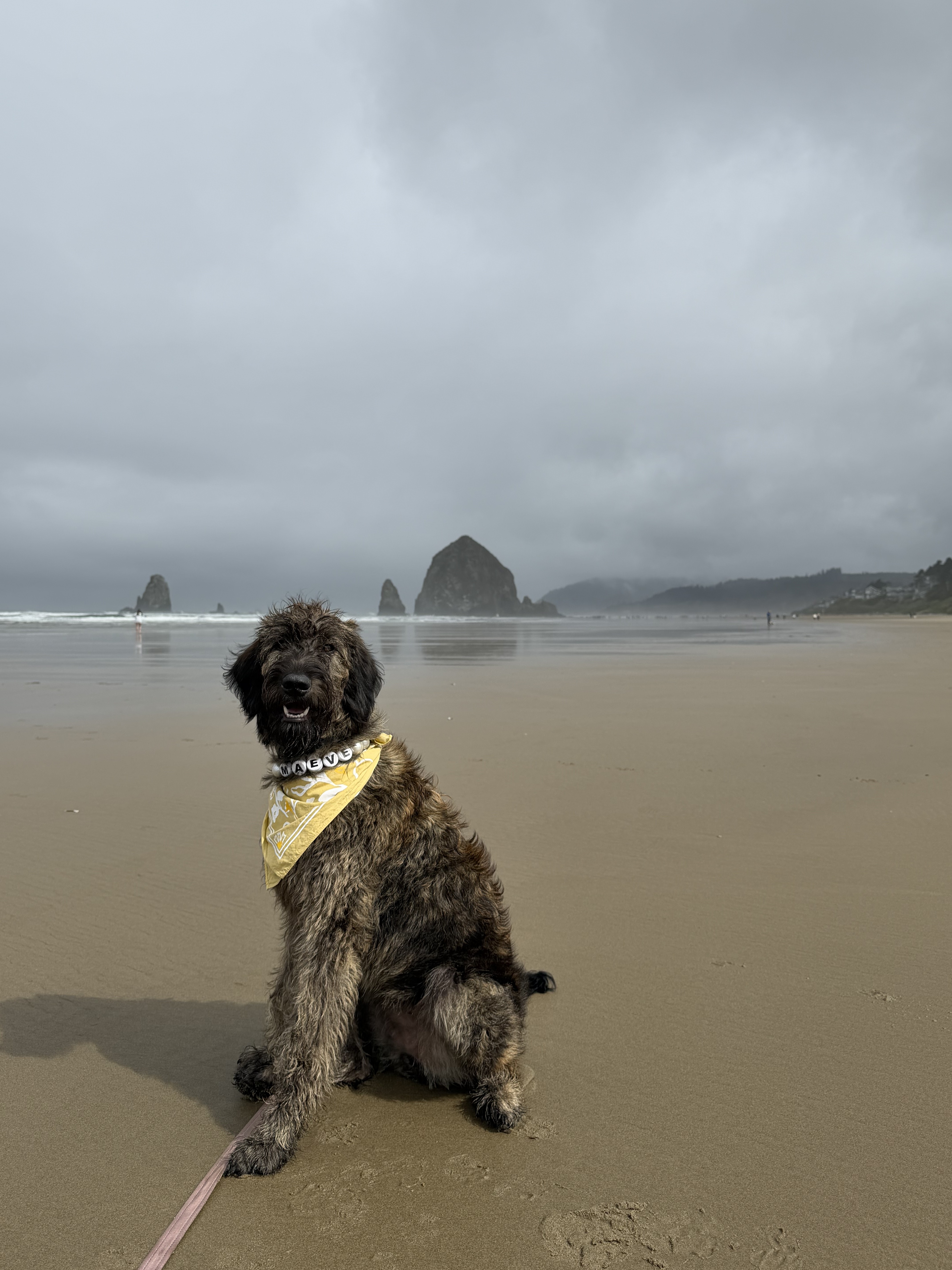 Maeve on the coast